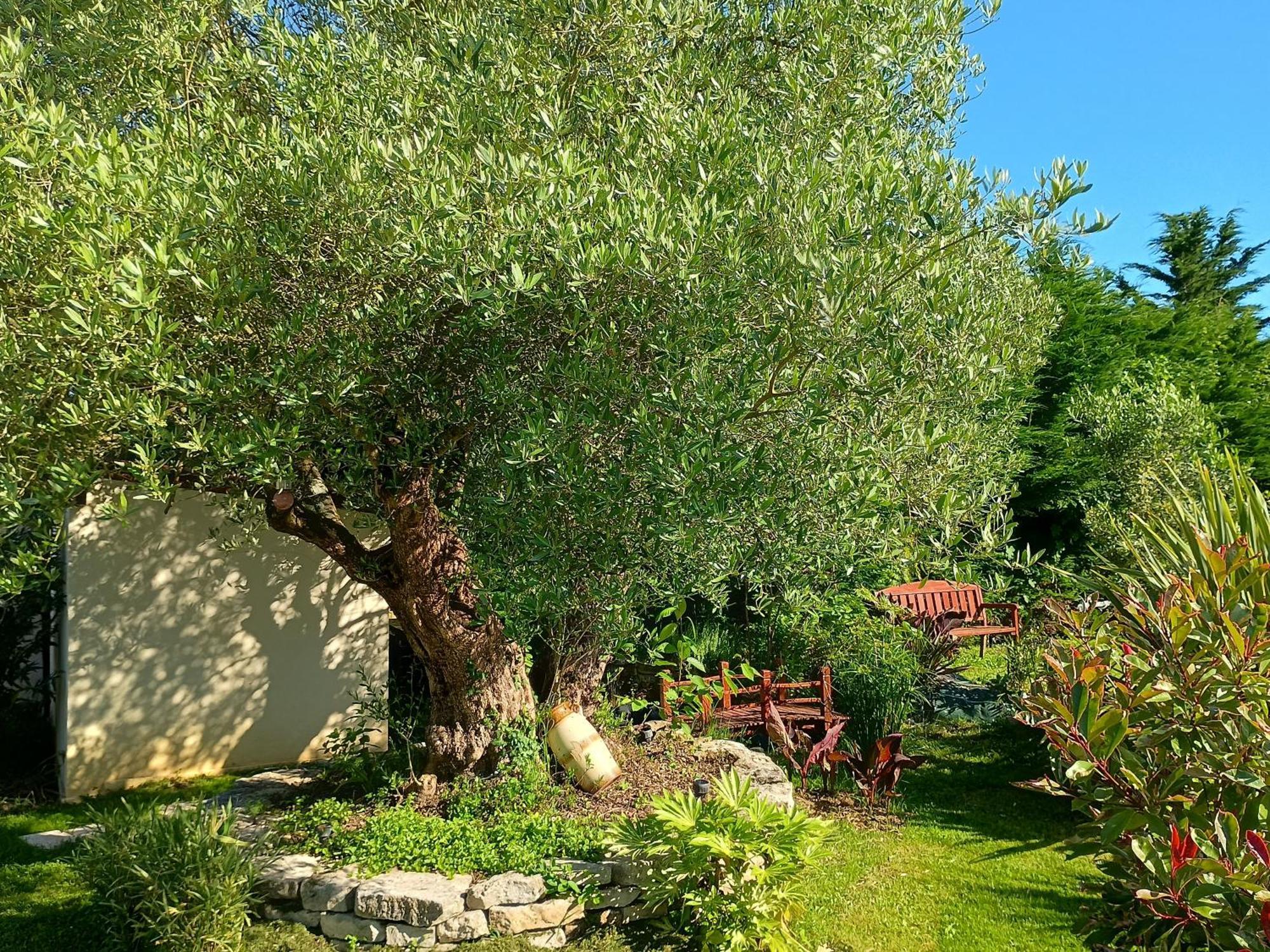 Gite Les Rosiers Au Domaine Des Sauvineries Saint-Germain-de-Princay 외부 사진